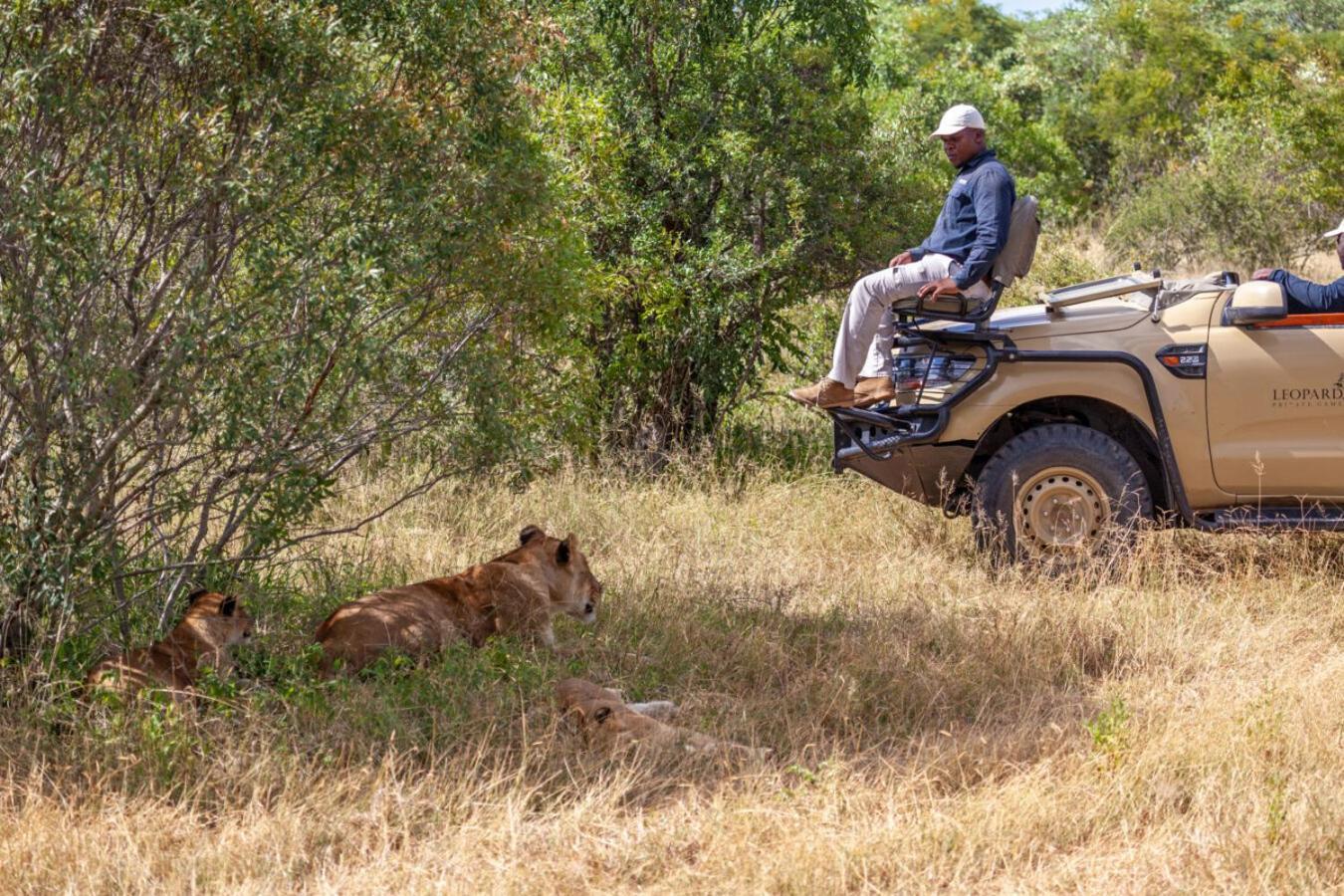 Leopard Hills Private Game Reserve Sabi Sand Game Reserve Exterior photo