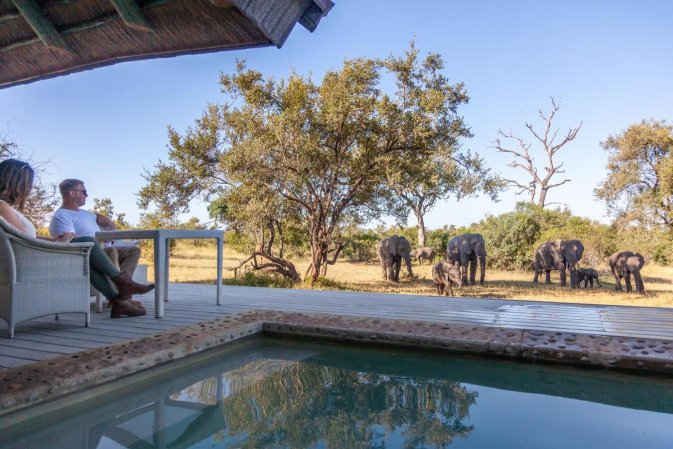 Leopard Hills Private Game Reserve Sabi Sand Game Reserve Exterior photo